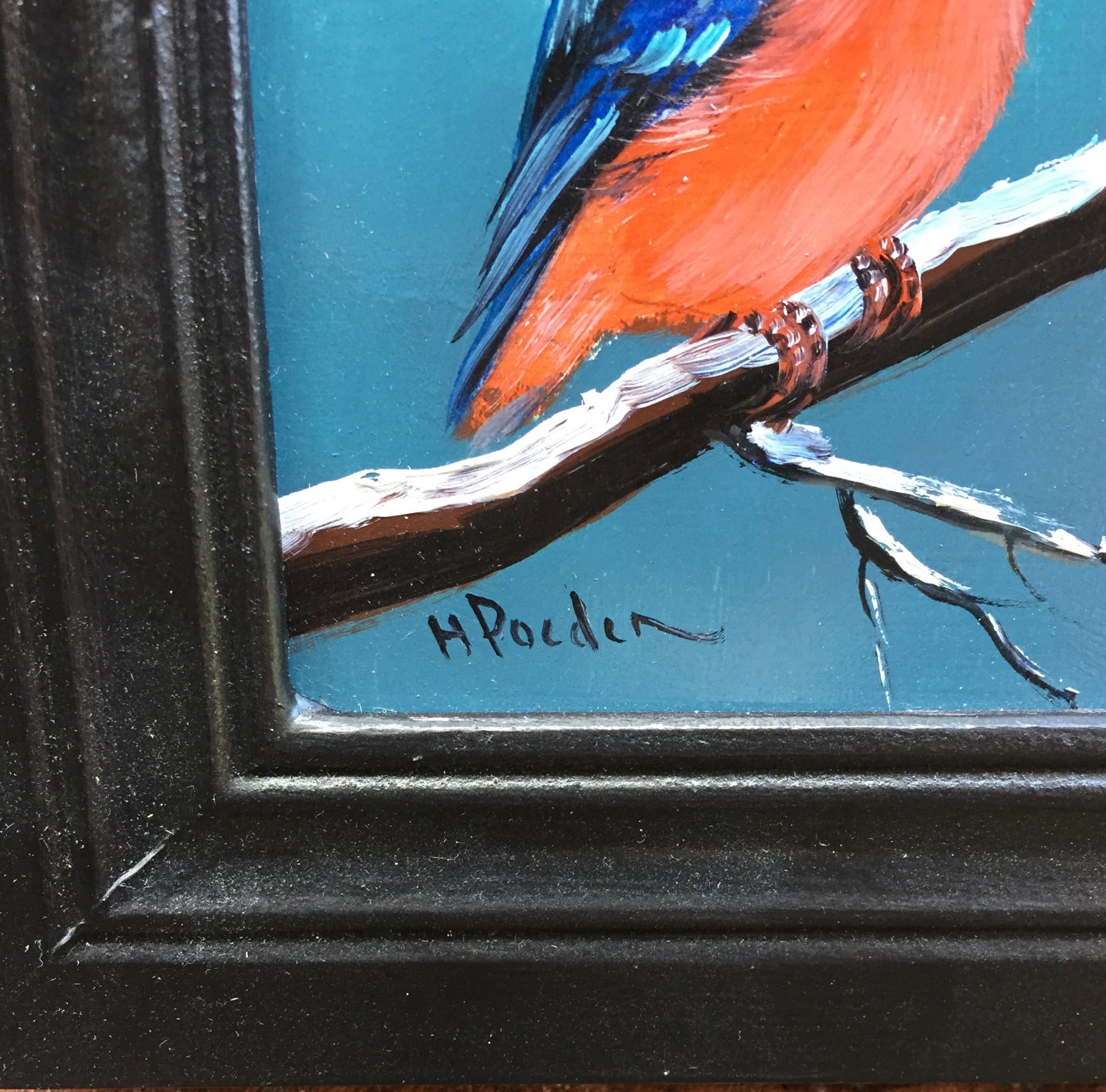 Henk Poeder - ijsvogel kopen? Bied vanaf 59!