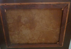 Jacobus Doeser - Glocksinia's kopen? Bied vanaf 350!