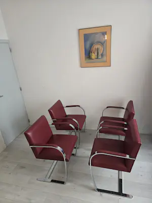 Ludwig Mies van der Rohe - Voor Knoll kopen? Bied vanaf 995!