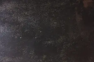 Martin van Vreden - Pastel op papier, Bloemen - Ingelijst (Zeer groot) kopen? Bied vanaf 250!