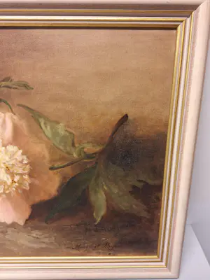 Margaret Meyer - Pioenrozen kopen? Bied vanaf 125!