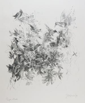 Jan Mensinga - Litho, Compositie met planten en dieren kopen? Bied vanaf 35!