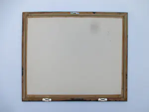 Nel van Dijkhuizen - Toerist kopen? Bied vanaf 65!