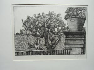 Anna Egter van Wissekerke - EUCALYPTUS PLANTEN kopen? Bied vanaf 30!