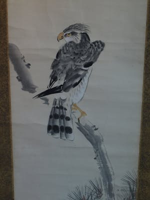 Niet of onleesbaar gesigneerd - Japanse scroll, “Havik op tak” - Aquarelverf en inkt op papier, 19e Eeuw kopen? Bied vanaf 10!