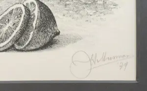 Joop Moesman - gesigneerde litho uit Petit 1 - ingelijst kopen? Bied vanaf 199!