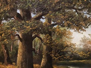 Niet of onleesbaar gesigneerd - Bos met water kopen? Bied vanaf 1!