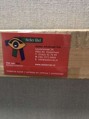 Piet van Riel - Breuklijn kopen? Bied vanaf 100!