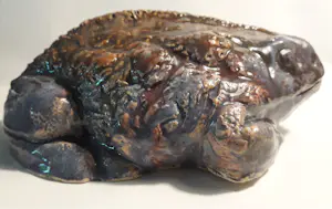 Nel Donkers - Dit is een pad. kopen? Bied vanaf 60!