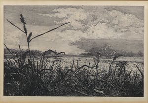 Reinder Homan - Ets, Riet aan de meeroever kopen? Bied vanaf 70!