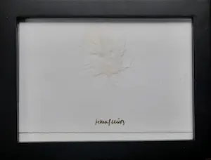 Henk Peeters - Zero - Veertje kopen? Bied vanaf 1!