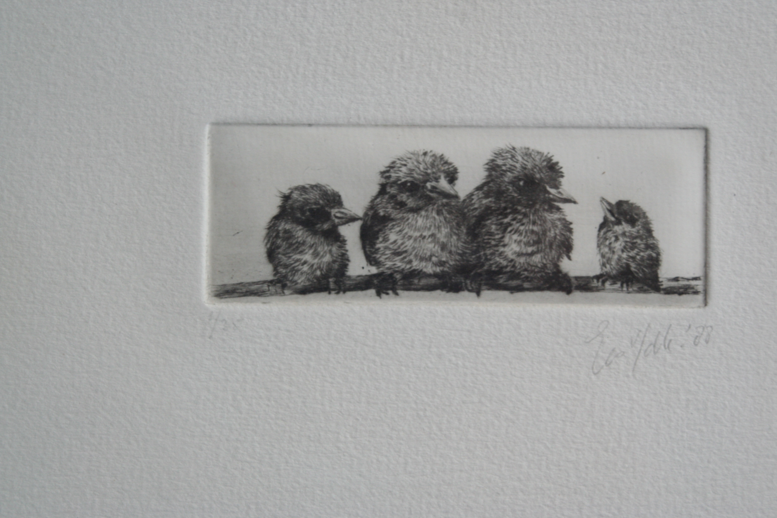 Niet of onleesbaar gesigneerd - vogel gezin - 1988 - gesigneerd kopen? Bied vanaf 1!