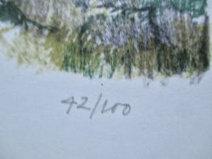 Theo Kurpershoek - Litho kopen? Bied vanaf 45!