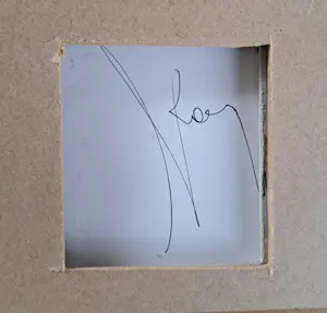 Koen Vanmechelen - Louisiana (Feeding chicken) kopen? Bied vanaf 495!