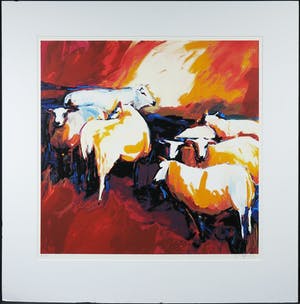 Gerda Elfring - Zeefdruk, Schapen kopen? Bied vanaf 20!