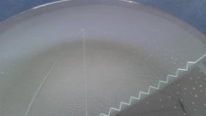 Corry Ammerlaan - Samen de zaak van de grond tillen kopen? Bied vanaf 59!