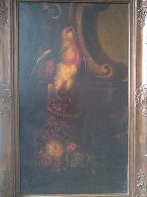 Niet of onleesbaar gesigneerd - Papegaai op een mand kopen? Bied vanaf 1!