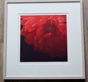 Hans Dolieslager - ingelijste zeefdruk: Dutch Glory II - 2001 (mooie houten lijst!) kopen? Bied vanaf 55!