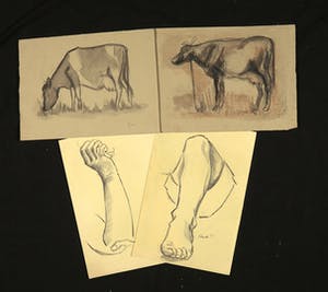Joe Wols - Lot van vier potloodtekeningen, Ledematen en koeien kopen? Bied vanaf 1!