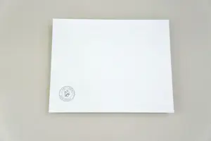 Ben Goossens - 'Magritte was hier' (2007) kopen? Bied vanaf 95!