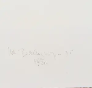 Willem van Ballegooyen - Zonder titel kopen? Bied vanaf 25!