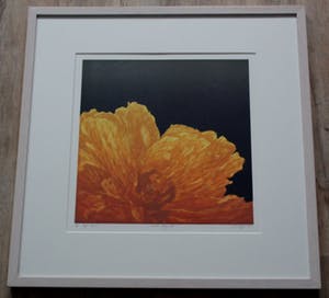 Hans Dolieslager - Zeefdruk: Dutch glory III - 2001 (keurige lijst!) kopen? Bied vanaf 55!