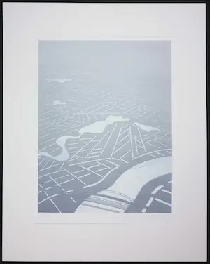 Jeroen Henneman - Litho, Nederlands landschap vanuit vogelvluchtperspectief kopen? Bied vanaf 1!