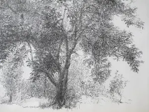 Jaap Kruijff - Landschap met volle boom - Litho kopen? Bied vanaf 25!