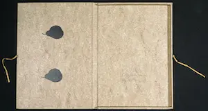 Dagmar Baumann - en Nicole Duyvis - Kartonnen handgesigneerde opbergdoos kopen? Bied vanaf 1!