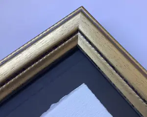 Corneille - Vuurvogel kopen? Bied vanaf 150!