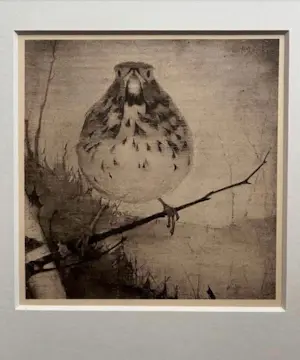 Jan Mankes - Originele Heliogravure Lijster op Tak 1923 kopen? Bied vanaf 195!