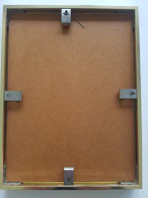 Engelien Reitsma-Valenca - Violist kopen? Bied vanaf 1!