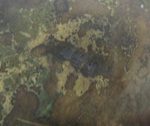 Niet of onleesbaar gesigneerd - Japanse 19e eeuwse Bronzen pot of kom op voeten- Meiji Periode kopen? Bied vanaf 10!