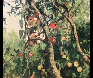 Paul van der Ven - De appelboom schilderij 1953 kopen? Bied vanaf 75!