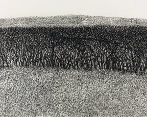 Charles Donker - ets - 'Meidoornhaag' - 1974 kopen? Bied vanaf 240!