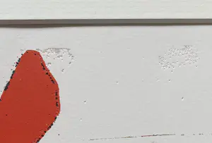 Guido de Waart - Eigen druk lithografie - gesigneerd - goudkleurige aluminium lijst kopen? Bied vanaf 1!