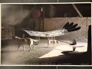 Buy Panamarenko - Raven's variable matrix - Originele poster? Bid from 75!