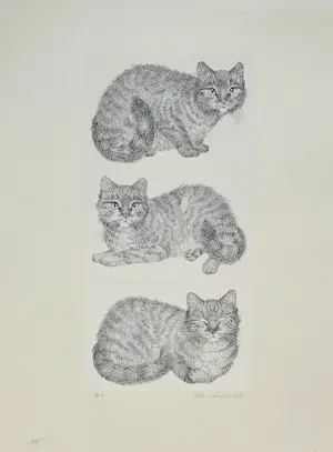 Ella van Schaik - poes, poes & poes kopen? Bied vanaf 10!