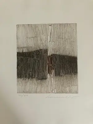 Servulo Esmeraldo - 5 carborandum etsen in kleur kopen? Bied vanaf 250!