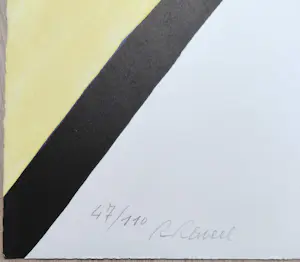 Roger Raveel - De schilderijenoptocht van 1978 te Machelen-aan-de-Leie, litho kopen? Bied vanaf 1495!