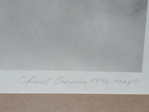 Karl Lagerfeld - Fotolitho Guinevere van Seenus Chanel 1996 kopen? Bied vanaf 50!