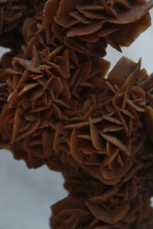 Niet of onleesbaar gesigneerd - Seleniet Marroko/Afrika kopen? Bied vanaf 1!