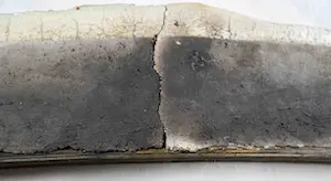 Willy van Blokland - geen titel kopen? Bied vanaf 25!