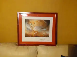 Salvador Dali - Onbekend kopen? Bied vanaf 95!