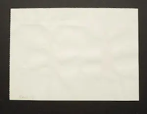 Henri Plaat - Één zangeres met huisknecht voor Bram kopen? Bied vanaf 40!