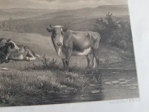 Gerard Bos - Koeien aan het water kopen? Bied vanaf 1!