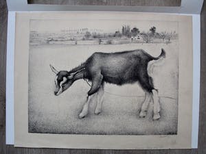 Jan Wittenberg - litho: geitje kopen? Bied vanaf 125!