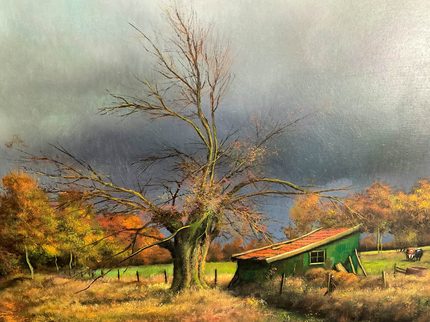 Onbekend - Hollands platteland verkocht voor € 50!