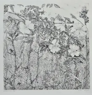 Reinder Homan - Planten stilleven kopen? Bied vanaf 30!