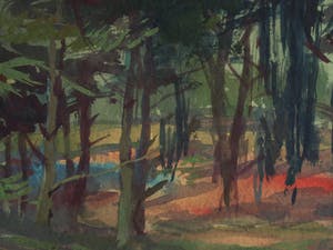 Klaas Pijlman - Ingelijste gouache , “Dennenbomen in Drenthe” - 1954 kopen? Bied vanaf 40!